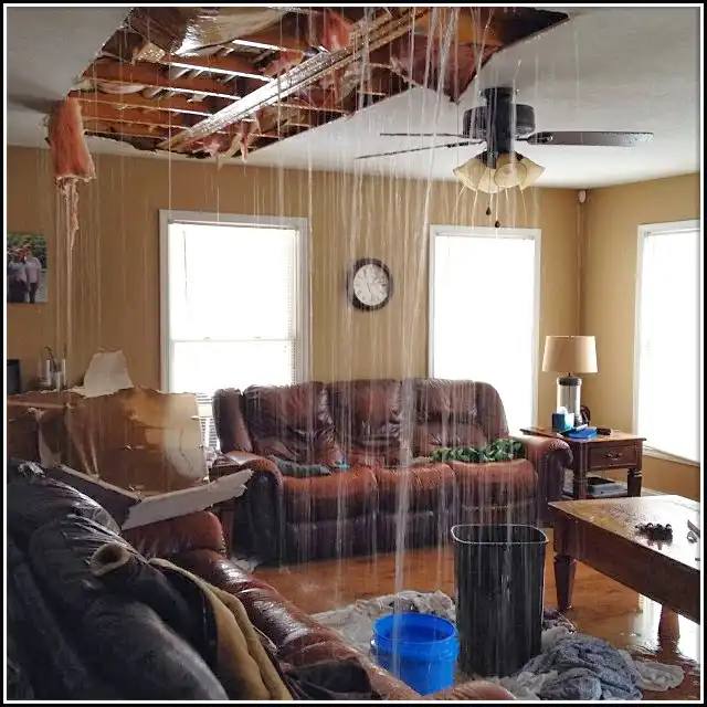 Water Damage Restoration services in Briar, TX