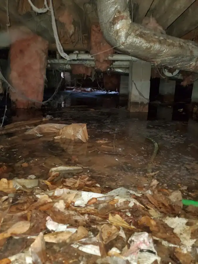 Crawl space flood assessment for Commercial Water Damage Restoration in Briar