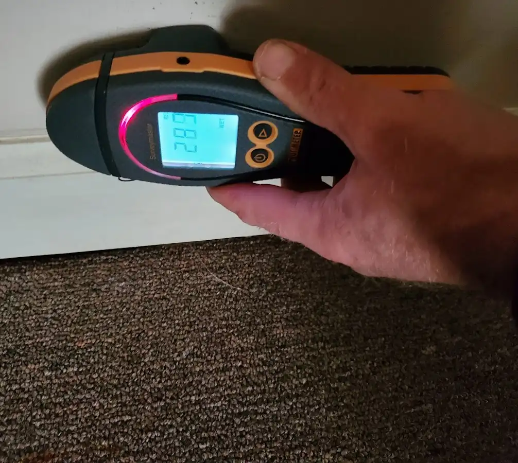 Moisture detection at baseboard during Sewage Cleanup & Sanitation in Briar